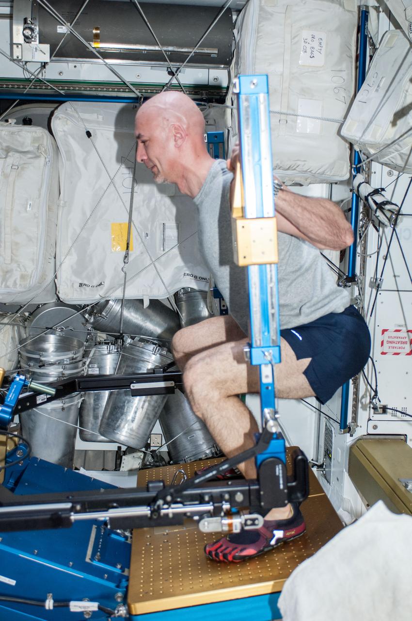 ISS036-E-036830 (24 Aug. 2013) --- European Space Agency astronaut Luca Parmitano, Expedition 36 flight engineer, gets a workout on the advanced Resistive Exercise Device (aRED) in the Tranquility node of the International Space Station.