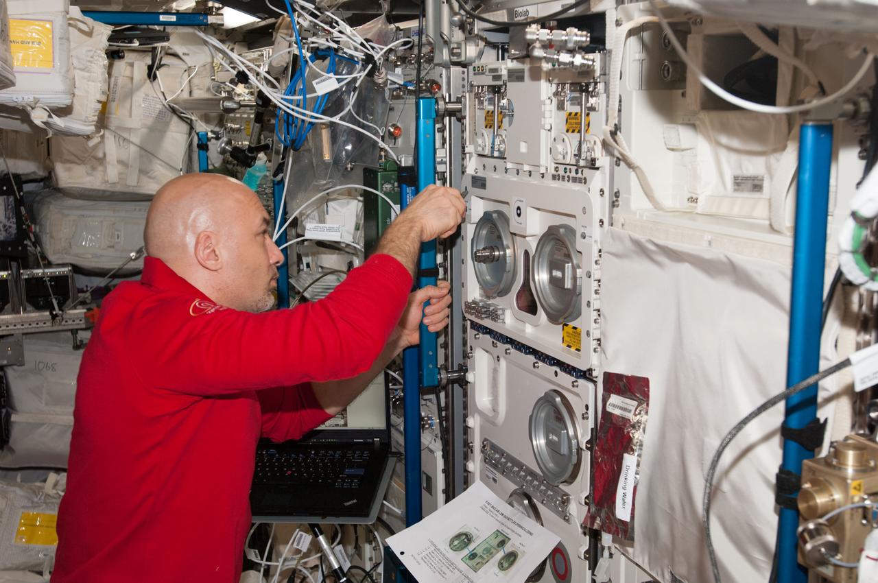 ISS036-E-037859 (27 Aug. 2013) --- European Space Agency astronaut Luca Parmitano, Expedition 36 flight engineer, works with the Biolab in the Columbus laboratory of the International Space Station. Biolab is used to perform space biology experiments on microorganisms, cells, tissue cultures, plants and small invertebrates.