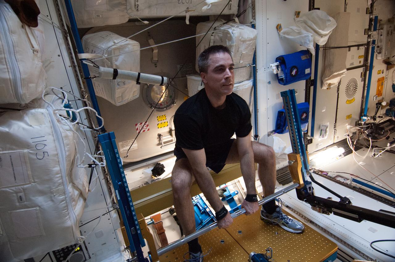 ISS036-E-038715 (31 Aug. 2013) --- NASA astronaut Chris Cassidy, Expedition 36 flight engineer, gets a workout on the advanced Resistive Exercise Device (aRED) in the Tranquility node of the International Space Station.