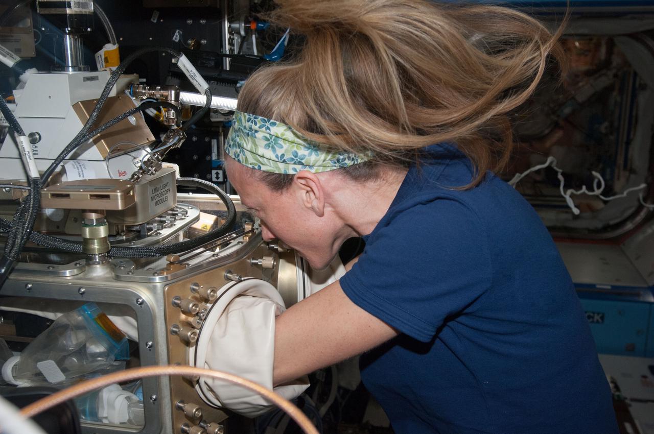 ISS037-E-001115 (16 Sept. 2013) ---NASA astronaut Karen Nyberg, Expedition 37 flight engineer, works with test samples housed in the Light Microscopy Module (LMM) inside the Fluids Integrated Rack of the International Space Station’s Destiny laboratory.