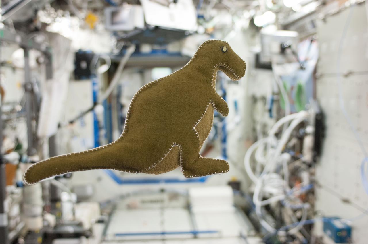 ISS037-E-002783 (22 Sept. 2013) --- NASA astronaut Karen Nyberg, Expedition 37 flight engineer, made this stuffed dinosaur toy aboard the International Space Station, using scraps of food-packaging liners and a T-shirt. She sent images of it to her young son on Sept. 22. Many of the astronaut’s hobbies lean toward artistic pursuits. She has let it be known that she loves to create different things through quilting, sewing and sketching. Nyberg took four “fat quarters” (pieces of fabric that are 18 by 22 inches) with her to the International Space Station along with needles, thread and a sketchbook when she launched to space on May 28.