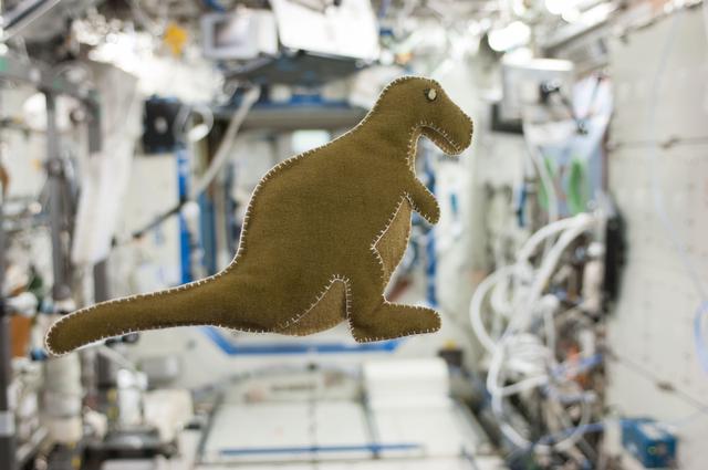 NASA image: Stuffed Dinosaur