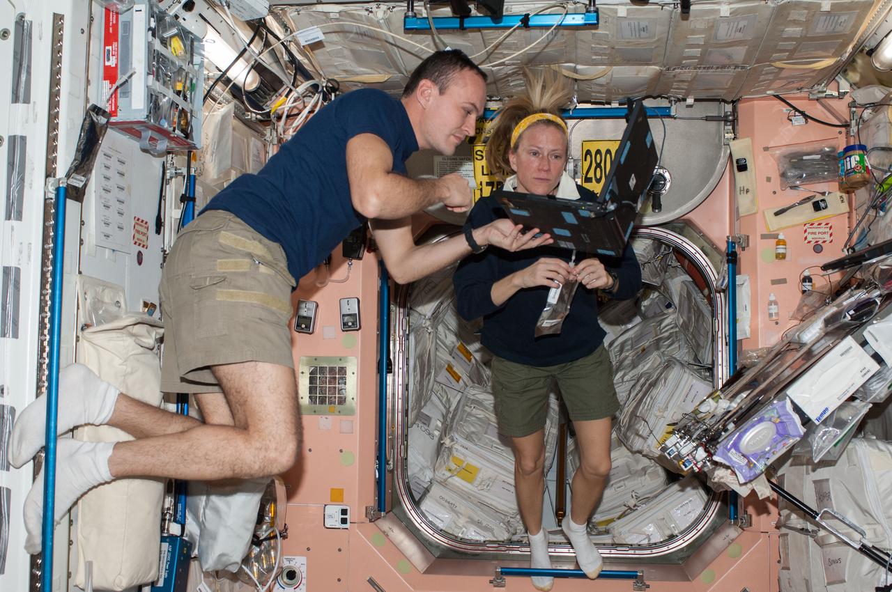 ISS037-E-005750 (2 Oct. 2013) --- NASA astronaut Karen Nyberg and Russian cosmonaut Sergey Ryazanskiy, both Expedition 37 flight engineers, look at a computer monitor in the Unity node of the International Space Station.