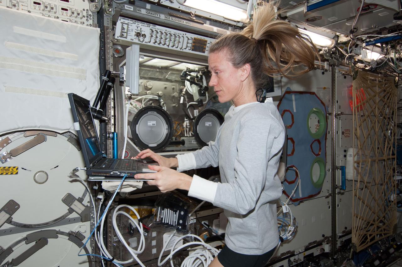 ISS037-E-006458 (3 Oct. 2013) --- NASA astronaut Karen Nyberg, Expedition 37 flight engineer, enters data into a computer near the Microgravity Science Glovebox (MSG) in the Destiny laboratory of the International Space Station.