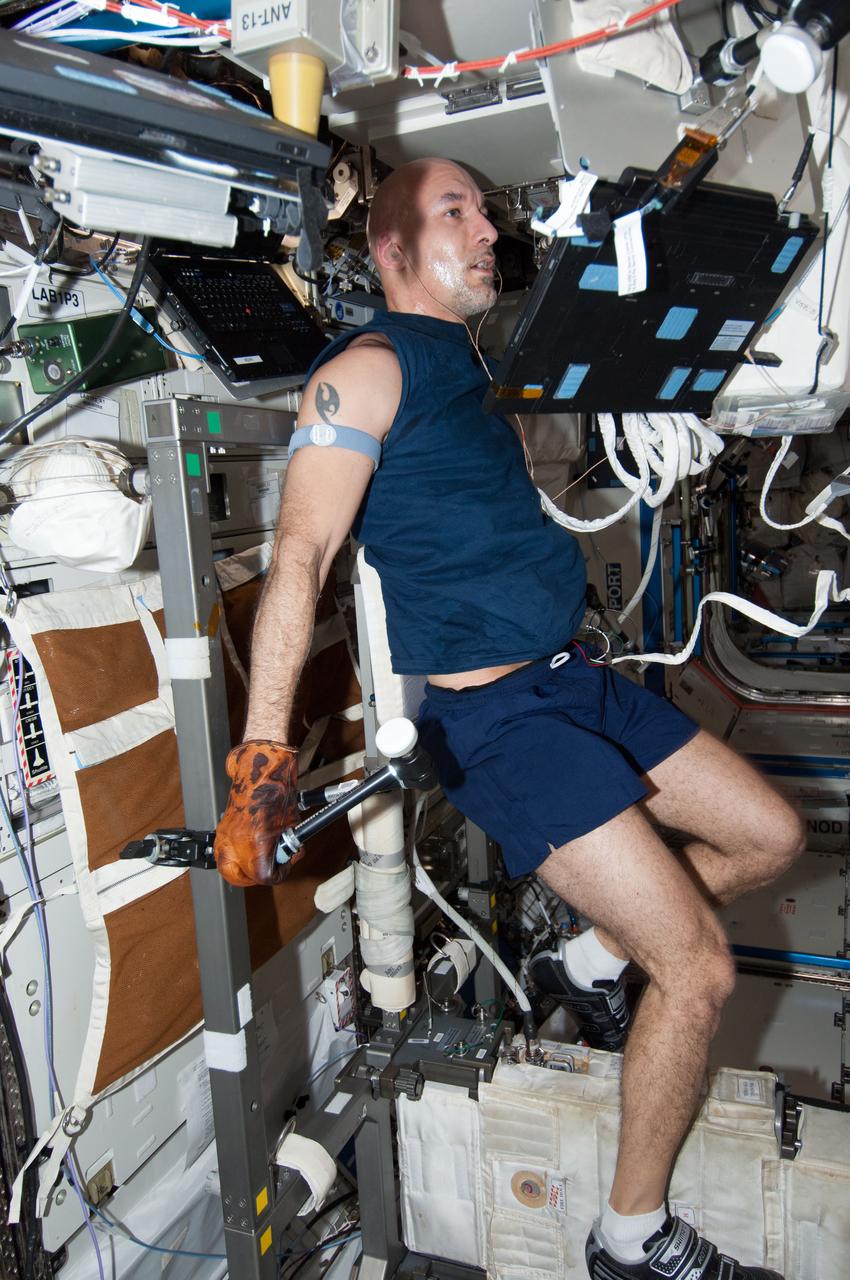 ISS037-E-006471 (3 Oct. 2013) --- European Space Agency astronaut Luca Parmitano, Expedition 37 flight engineer, exercises on the Cycle Ergometer with Vibration Isolation System (CEVIS) in the Destiny laboratory of the International Space Station.