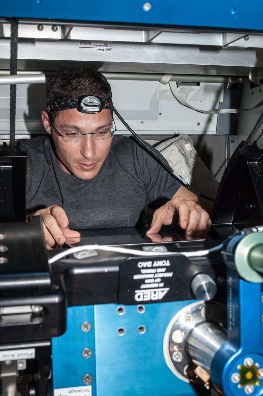 ISS037-E-006562 (3 Oct. 2013) --- NASA astronaut Michael Hopkins, Expedition 37 flight engineer, performs routine in-flight maintenance on the advanced Resistive Exercise Device (aRED) in the Tranquility node of the International Space Station.