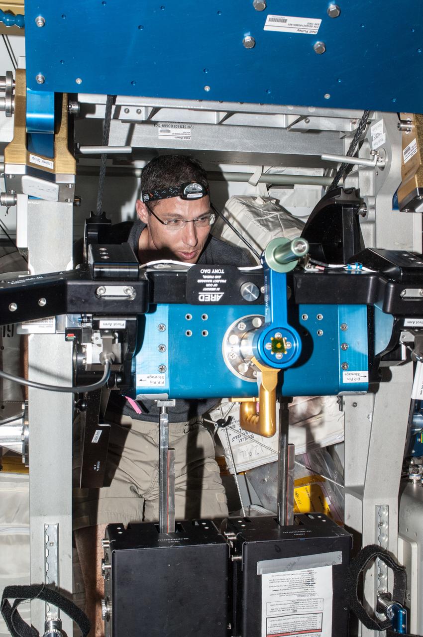 ISS037-E-006563 (3 Oct. 2013) --- NASA astronaut Michael Hopkins, Expedition 37 flight engineer, performs routine in-flight maintenance on the advanced Resistive Exercise Device (aRED) in the Tranquility node of the International Space Station.