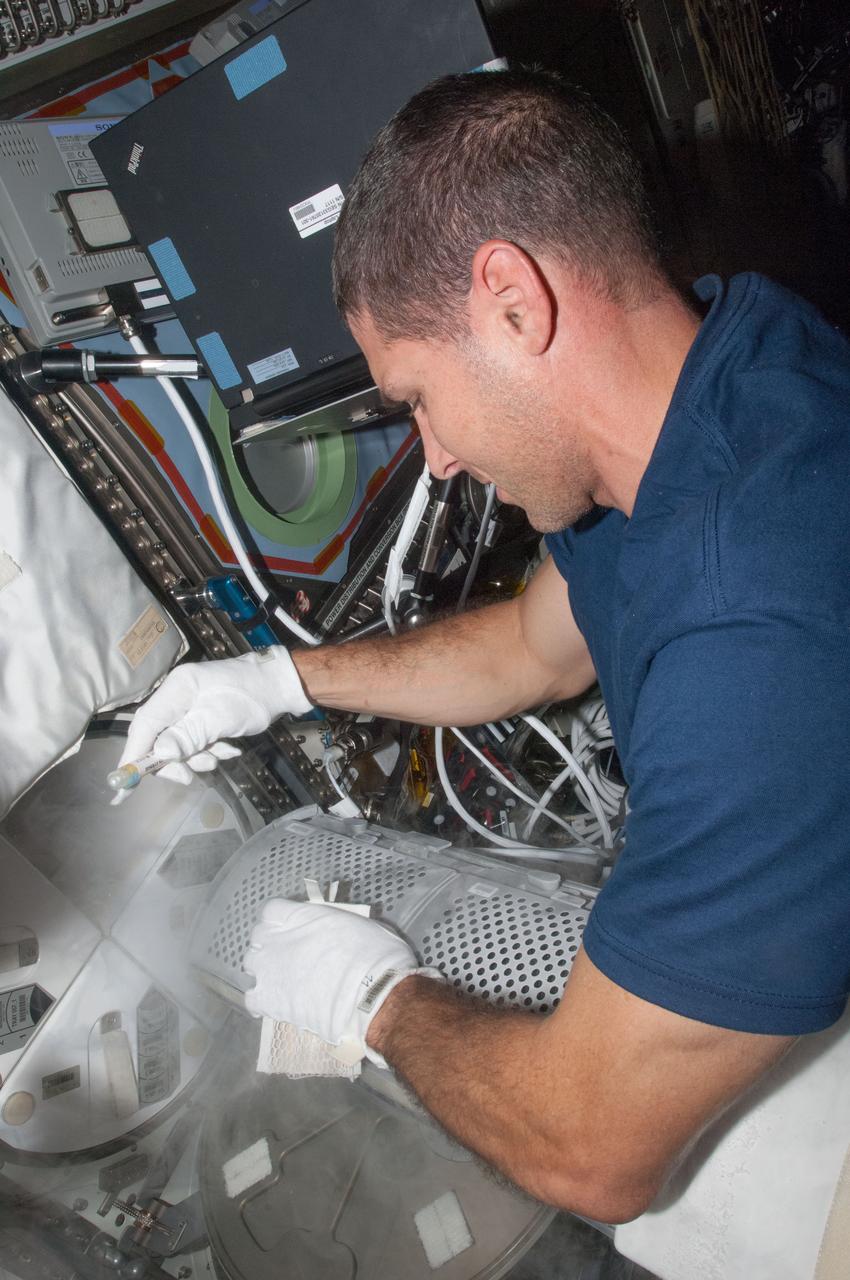 ISS037-E-010725 (5 Oct. 2013) --- NASA astronaut Michael Hopkins, Expedition 37 flight engineer, prepares to insert samples into a Minus Eighty Laboratory Freezer for ISS (MELFI) dewar tray in the International Space Station’s Destiny laboratory.