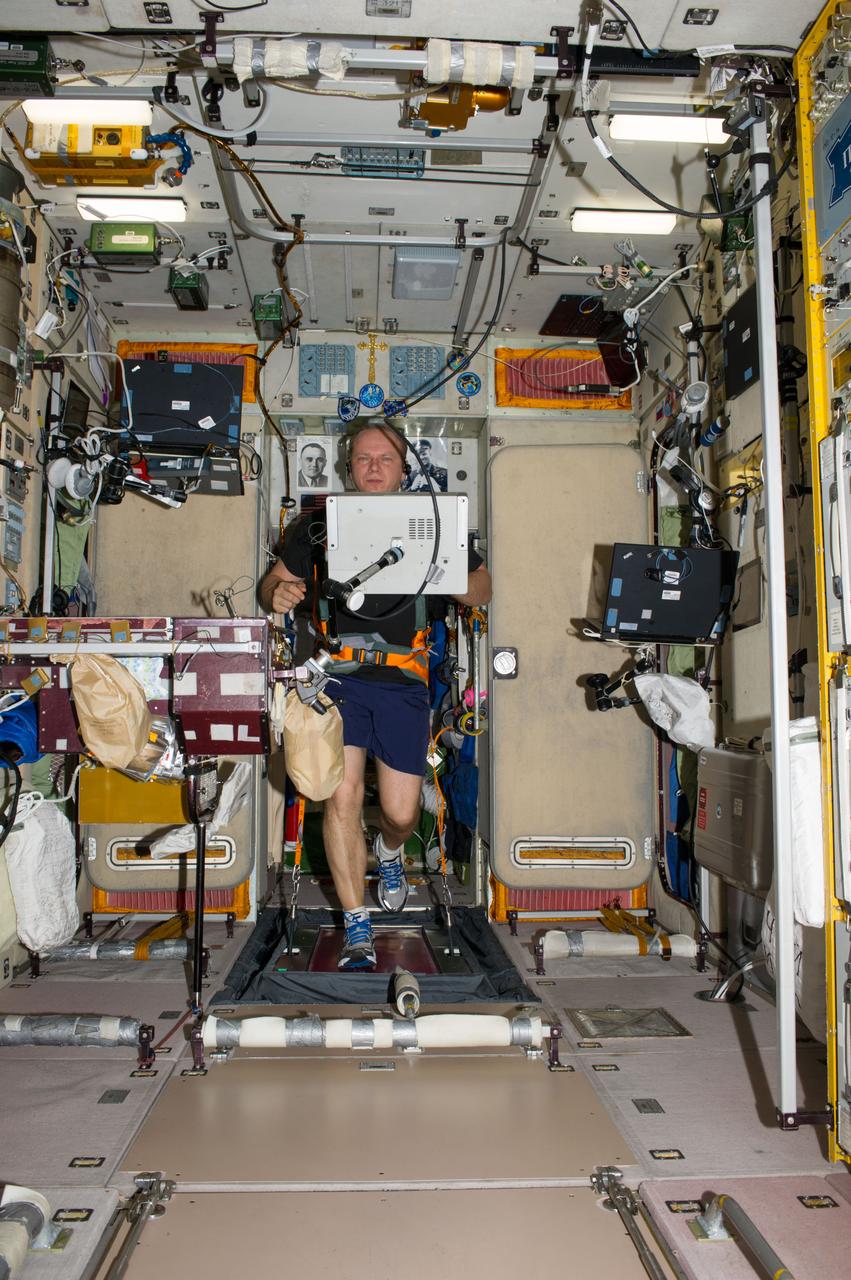 ISS037-E-013276 (9 Oct. 2013) --- Russian cosmonaut Oleg Kotov, Expedition 37 flight engineer, equipped with a bungee harness, exercises on the Treadmill Vibration Isolation System (TVIS) in the Zvezda Service Module of the International Space Station.