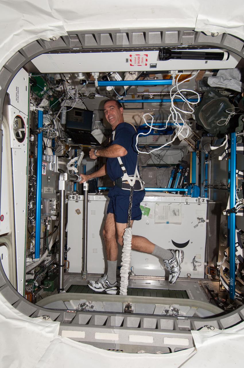 ISS037-E-028164 (9 Nov. 2013) --- NASA astronaut Rick Mastracchio, Expedition 38 flight engineer, equipped with a bungee harness, exercises on the Combined Operational Load Bearing External Resistance Treadmill (COLBERT) in the Tranquility node of the International Space Station.