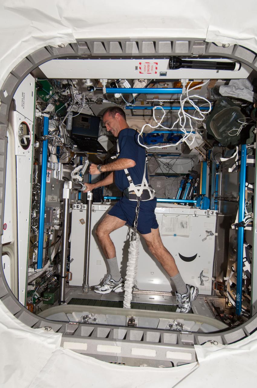 ISS037-E-028165 (9 Nov. 2013) --- NASA astronaut Rick Mastracchio, Expedition 38 flight engineer, equipped with a bungee harness, exercises on the Combined Operational Load Bearing External Resistance Treadmill (COLBERT) in the Tranquility node of the International Space Station.
