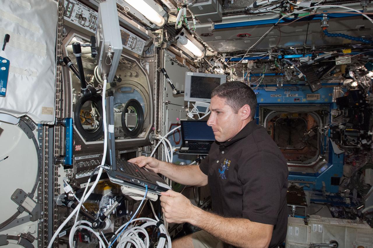 ISS037-E-028590 (10 Nov. 2013) --- NASA astronaut Michael Hopkins, Expedition 37/38 flight engineer, enters data into a computer near the Microgravity Science Glovebox (MSG) in the Destiny laboratory of the International Space Station.