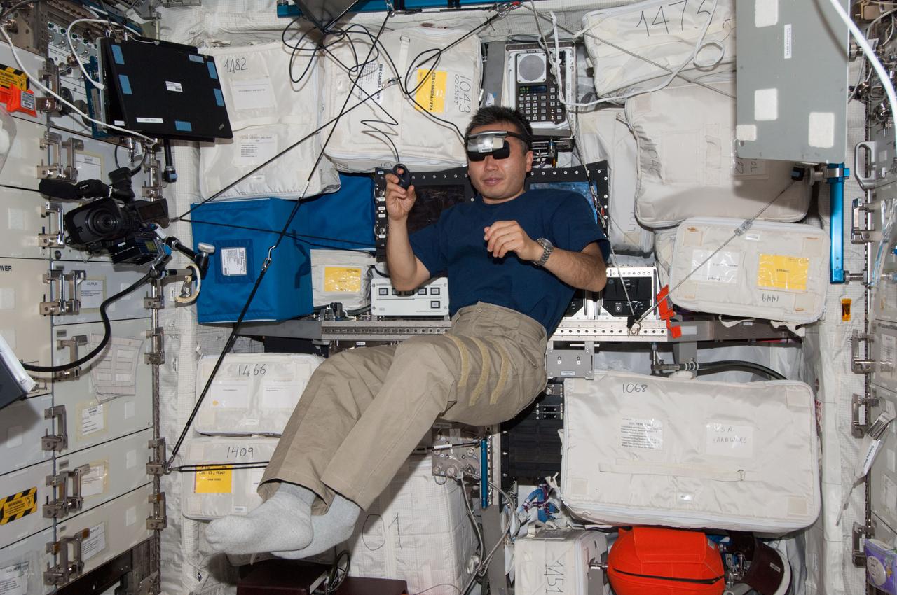 ISS038-E-001285 (14 Nov. 2013) --- In the International Space Station?s Columbus laboratory, Japan Aerospace Exploration Agency astronaut Koichi Wakata, Expedition 38 flight engineer, participates in a session with the European Space Agency-sponsored Reversible Figures experiment, which tracks how the adaptation of an astronaut?s neurovestibular system to weightlessness may alter 3-D visual perception.