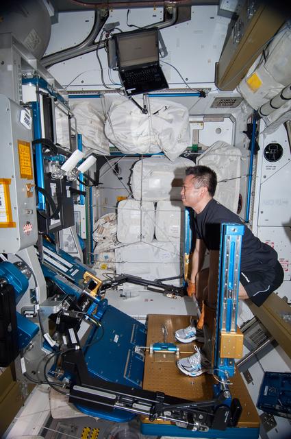 NASA image: Wakata exercises on the aRED