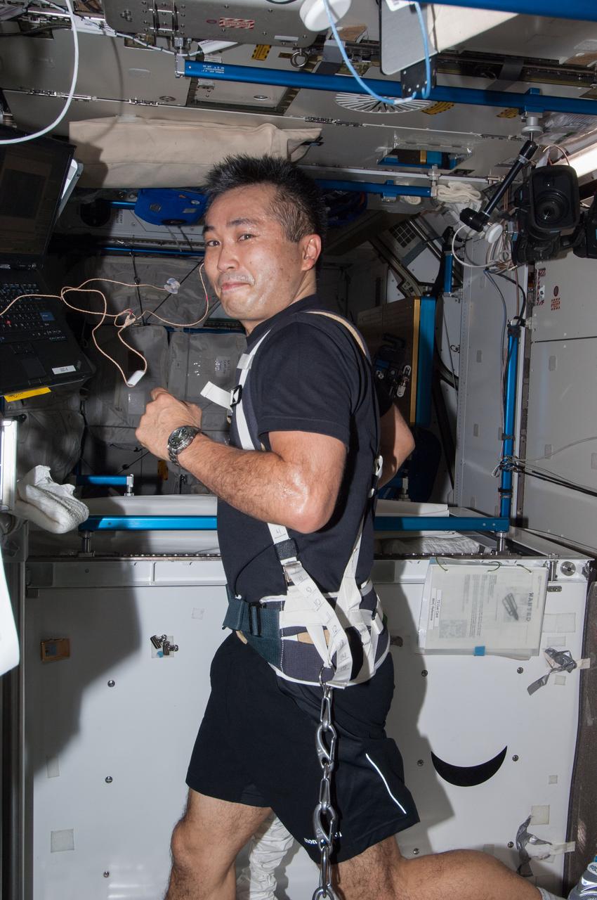 ISS038-E-002215 (14 Nov. 2013) --- Japan Aerospace Exploration Agency astronaut Koichi Wakata, Expedition 38 flight engineer, equipped with a bungee harness, exercises on the Combined Operational Load Bearing External Resistance Treadmill (COLBERT) in the Tranquility node of the International Space Station.