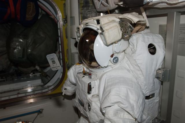 NASA image: EMU with Travel Bug in the A/L
