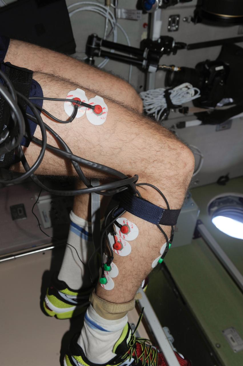 iss038e003641 (11/18/2014) --- A View of Cosmonaut Sergey Ryaznskiy (lower body only), setting up the Motocard experiment in the Service Module (SM) aboard the International Space Station (ISS). The Mechanisms of Sensory-Motor Coordination in Weightlessness (Motocard) investigation is carried out on the treadmill and involves locomotion in various modes of running and walking during various modes of operation of the treadmill. During the test, electromyography of the thigh and calf muscles, support structure response, heart rate, and treadmill load parameters (actual speed, time elapsed, distance, integrated indicators for support structure response) are recorded.