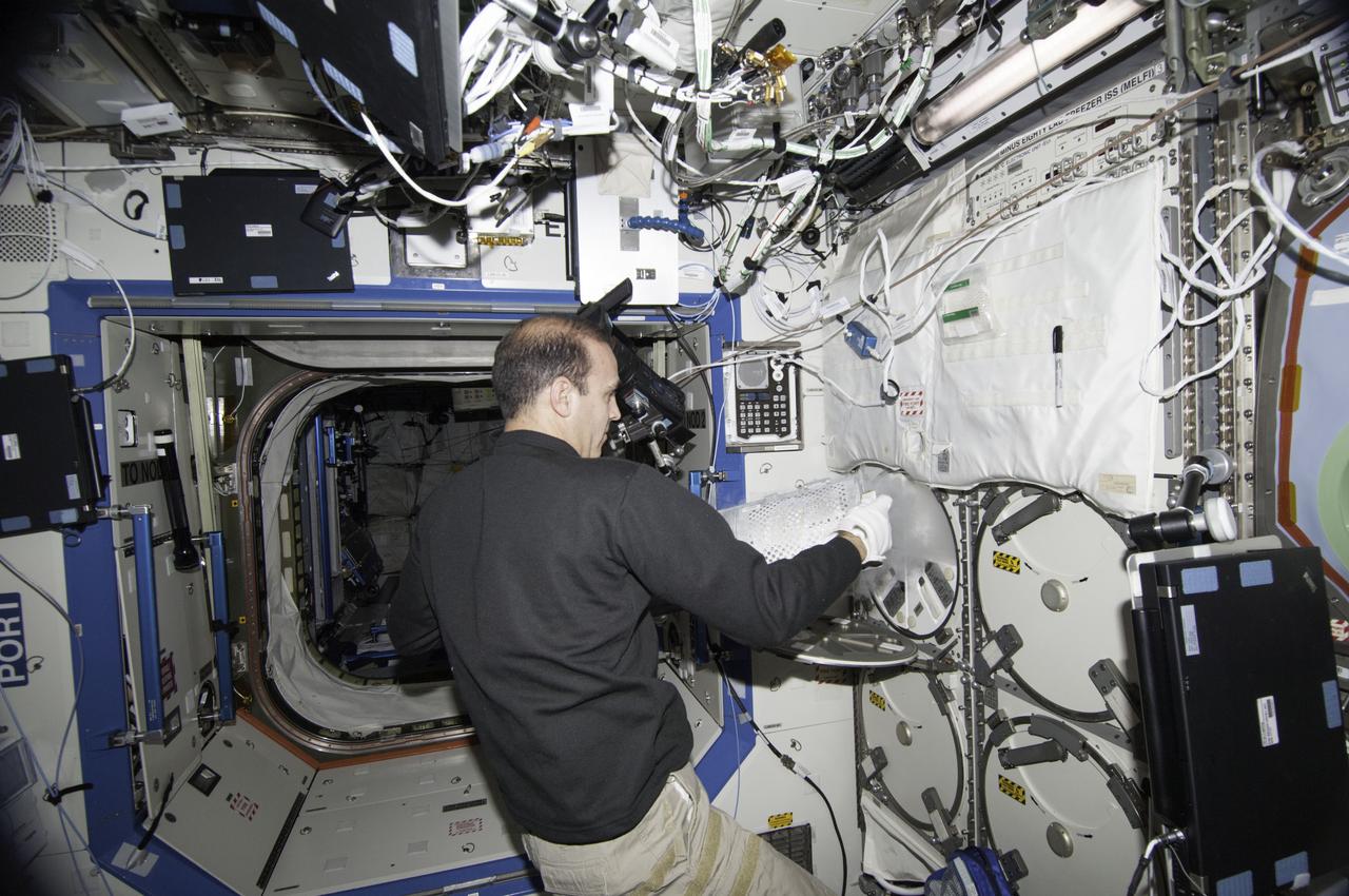 ISS038-E-006757 (21 Nov. 2013) --- In the International Space Station's Destiny laboratory, NASA astronaut Rick Mastracchio, Expedition 38 flight engineer, removes a dewar tray from the Minus Eighty Laboratory Freezer for ISS (MELFI) in order to insert biological samples into the trays.