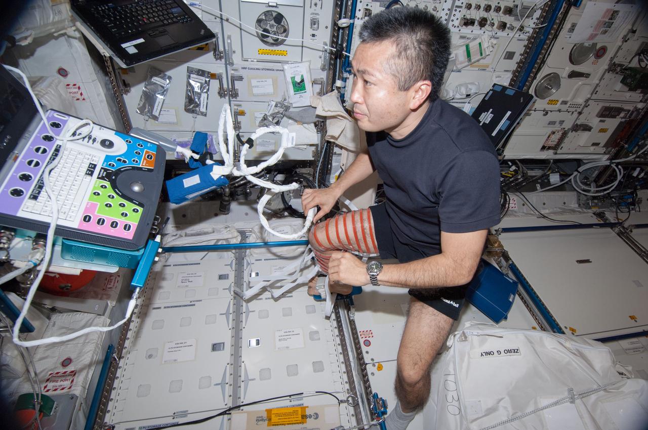 ISS038-E-007119 (21 Nov. 2013) --- Japan Aerospace Exploration Agency astronaut Koichi Wakata, Expedition 38 flight engineer, wears ultrasound gear around his legs while performing the Integrated Resistance and Aerobic Training Study (Sprint) experiment in the Columbus laboratory of the International Space Station. Sprint evaluates the use of high intensity, low volume exercise training to minimize loss of muscle, bone, and cardiovascular function in station crew members during long-duration missions.