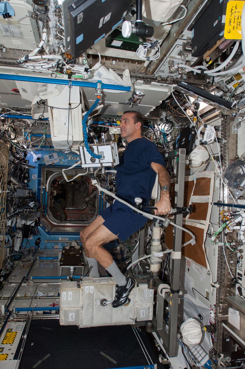 ISS038-E-007156 (22 Nov. 2013) --- NASA astronaut Rick Mastracchio, Expedition 38 flight engineer, exercises on the Cycle Ergometer with Vibration Isolation System (CEVIS) in the Destiny laboratory of the International Space Station.