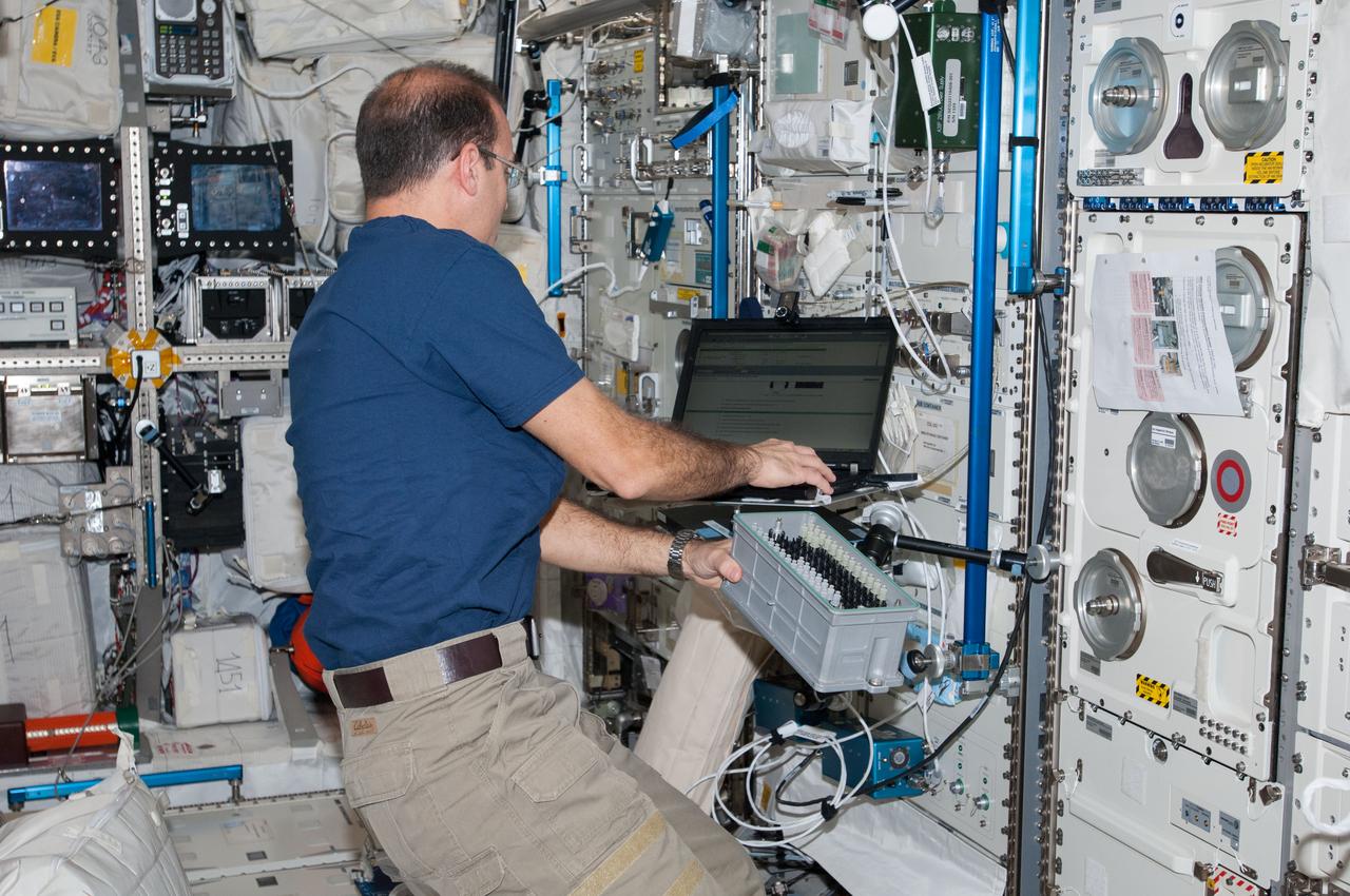 ISS038-E-008033 (25 Nov. 2013) --- NASA astronaut Rick Mastracchio, Expedition 38 flight engineer, works with Biolab hardware in the Columbus laboratory of the International Space Station. Biolab is used to perform space biology experiments on microorganisms, cells, tissue cultures, plants and small invertebrates.