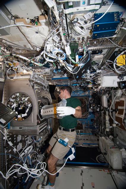 NASA image: Hopkins during SODI-DCMIX 2 Experiment