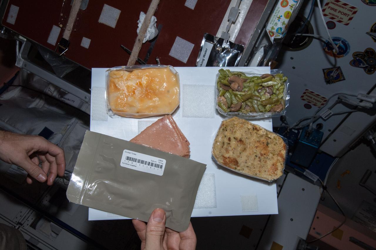 ISS038-E-009304 (28 Nov. 2013) --- NASA astronaut Michael Hopkins (mostly out of frame), Expedition 38 flight engineer, offers a close-up view of his Thanksgiving meal in the Unity node of the International Space Station.