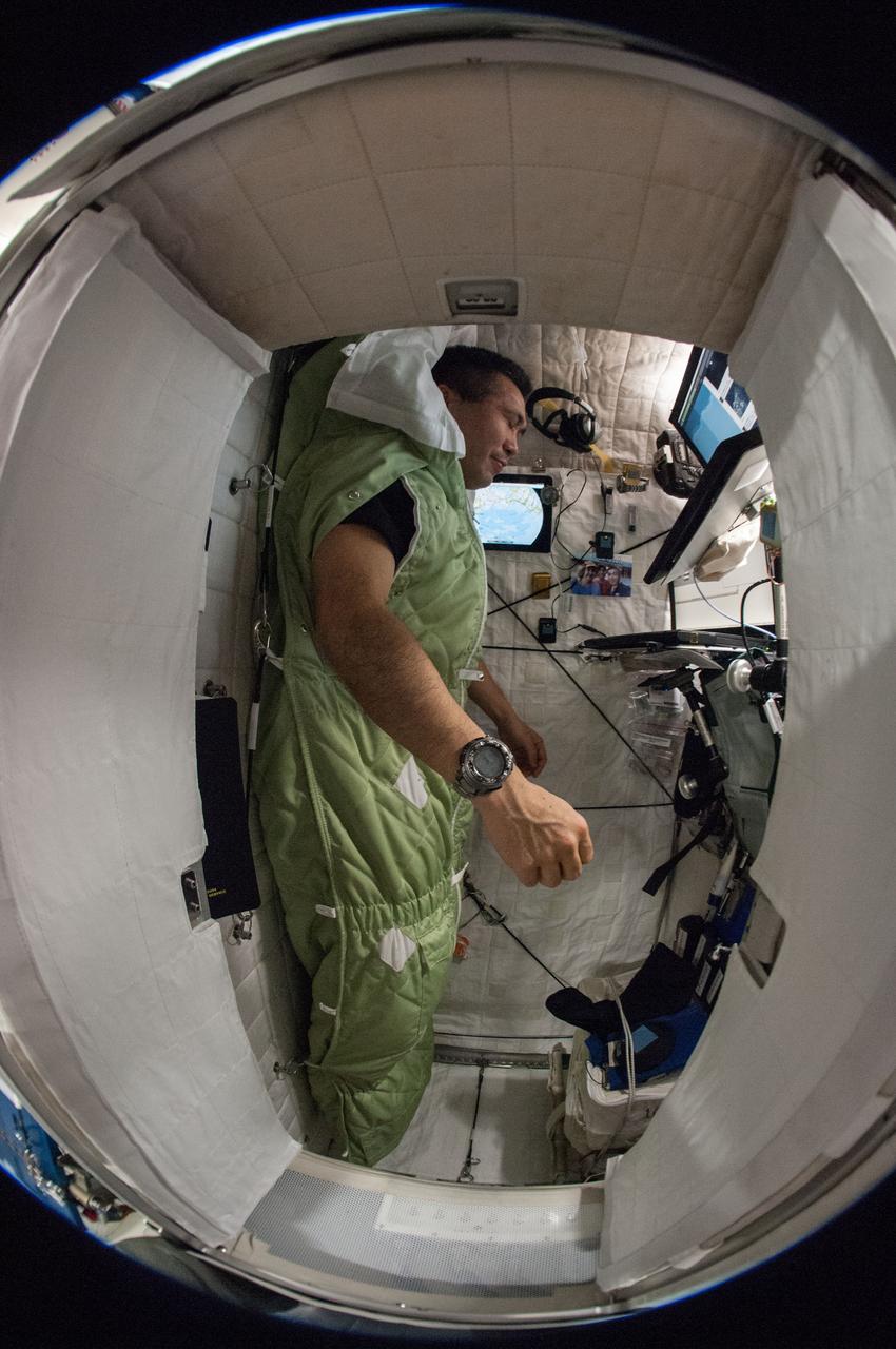 iss038e024951 (1/5/2014) --- Japan Aerospace Exploration Agency (JAXA) Koichi Wakata strapped into his sleeping bag in his sleep station located in the Node 2. Circadian Rhythms investigates the role of synchronized circadian rhythms, or the “biological clock,” and how it changes during long-duration spaceflight.