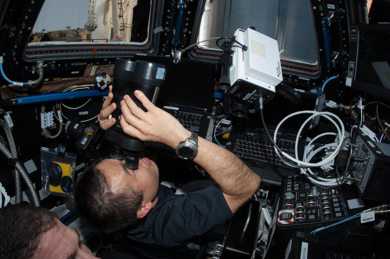 ISS038-E-027307 (11 Jan. 2014) --- Japan Aerospace Exploration Agency astronaut Koichi Wakata, Expedition 38 flight engineer, uses binoculars at the windows in the Cupola of the International Space Station while watching the approach of the Orbital Sciences Corp. Cygnus commercial cargo craft.
