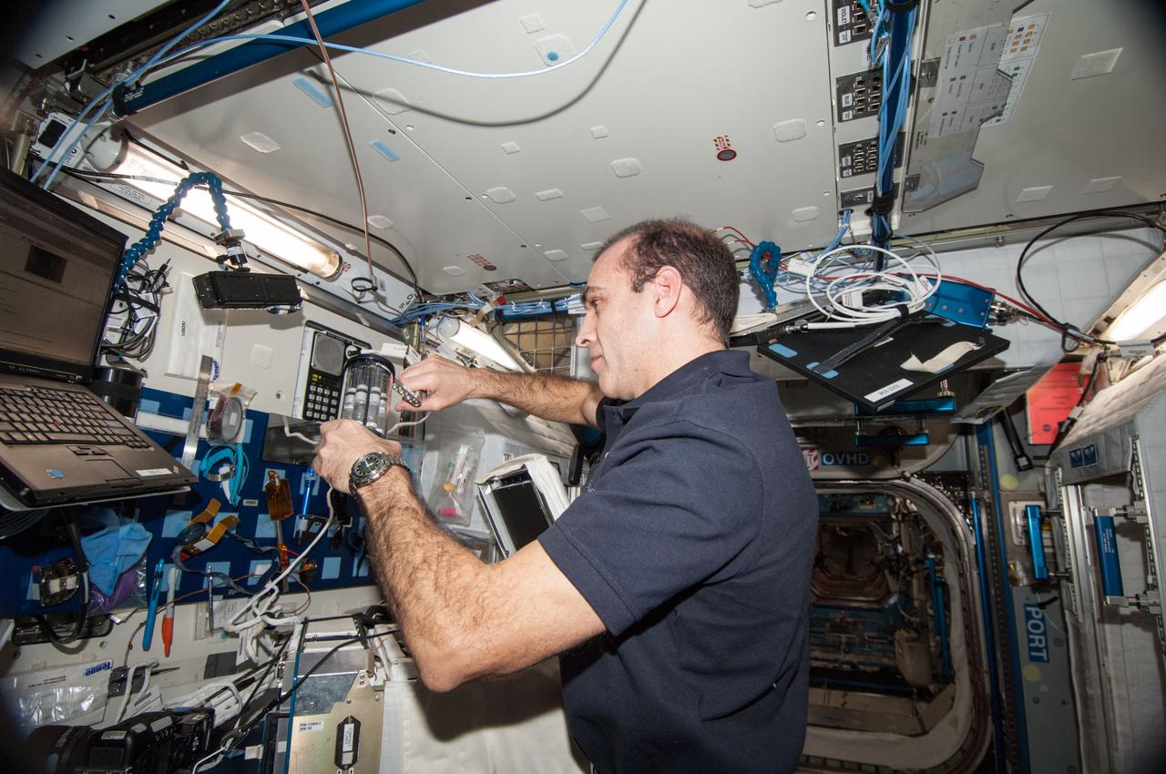 ISS038-E-031407 (16 Jan. 2014) --- NASA astronaut Rick Mastracchio, Expedition 38 flight engineer, accesses the Commercial Generic Bioprocessing Apparatus-2 (CGBA-2) while working with the Vaccine-21 Group Activation Pack (GAP) experiment in the Harmony node of the International Space Station. This experiment also referred to as Antibiotic Effectiveness in Space-1 (AES-1) tests the hypothesis that antibiotics used to treat bacterial grown in space will exhibit reduced efficacy and will be associated with specific changes in bacterial gene expression that correlate with cell survival.