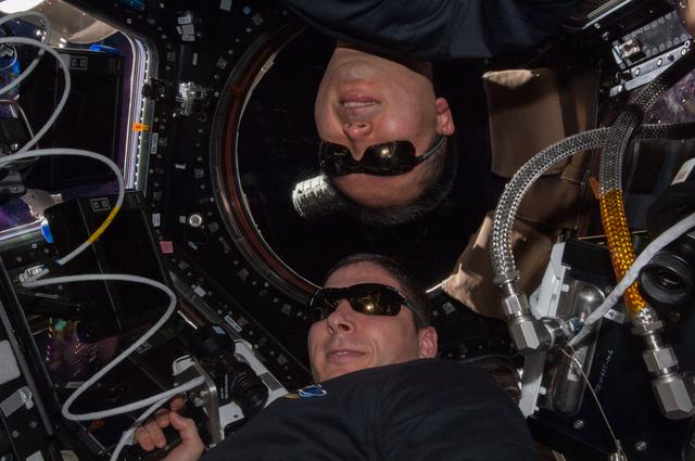 NASA image: iss038e031966