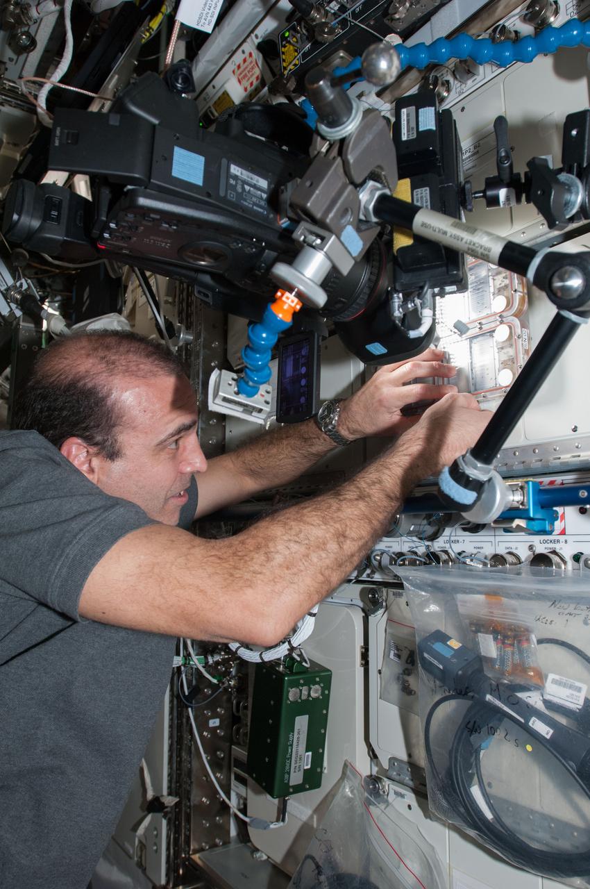 ISS038-E-031992 (13 Jan. 2014) --- NASA astronaut Rick Mastracchio, Expedition 38 flight engineer, works with the Ant Forage Habitat Facility in the Destiny laboratory of the International Space Station. The study examines the behavior of ants by comparing groups living on Earth to those in space.