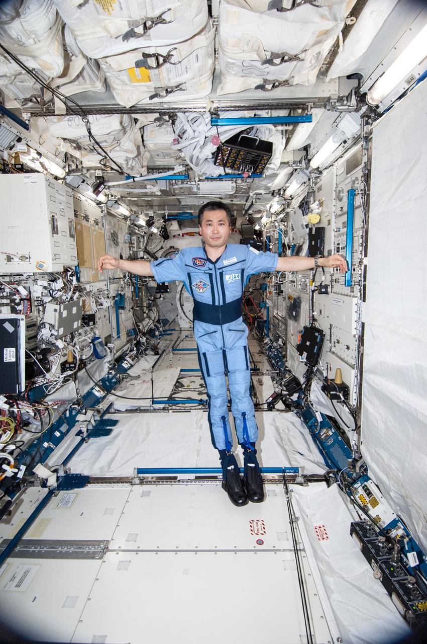 ISS038-E-035473 (24 Jan. 2014) --- Japan Aerospace Exploration Agency astronaut Koichi Wakata, Expedition 38 flight engineer, is pictured wearing the Penguin-3 antigravity pressure/stress suit in the Kibo laboratory of the International Space Station.