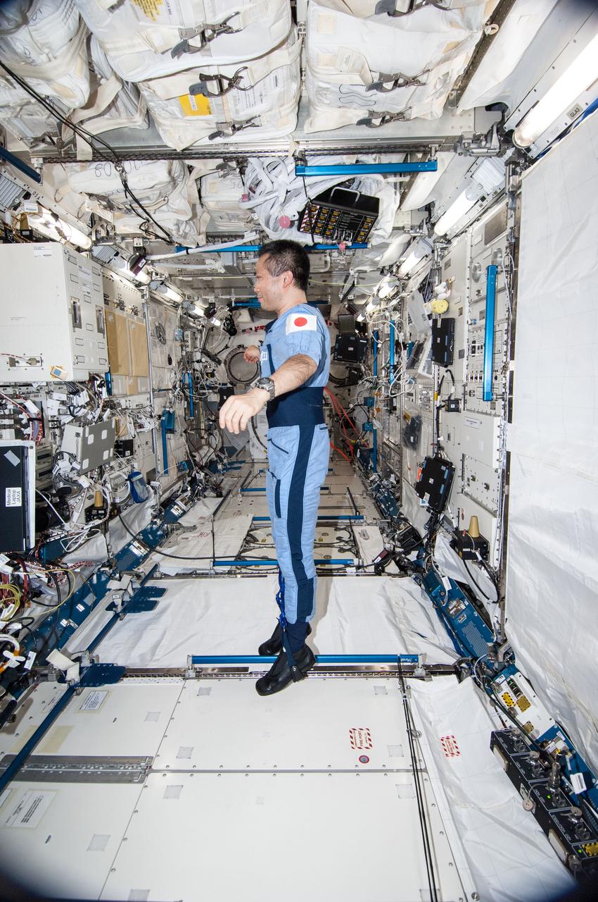 ISS038-E-035476 (24 Jan. 2014) --- Japan Aerospace Exploration Agency astronaut Koichi Wakata, Expedition 38 flight engineer, is pictured wearing the Penguin-3 antigravity pressure/stress suit in the Kibo laboratory of the International Space Station.
