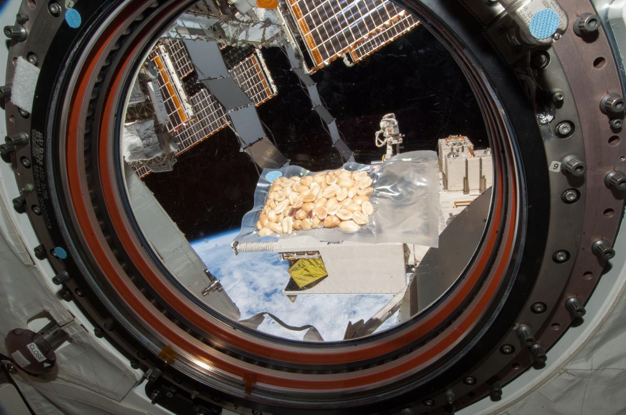 Peanuts in JPM. Image was released by astronaut on Twitter.