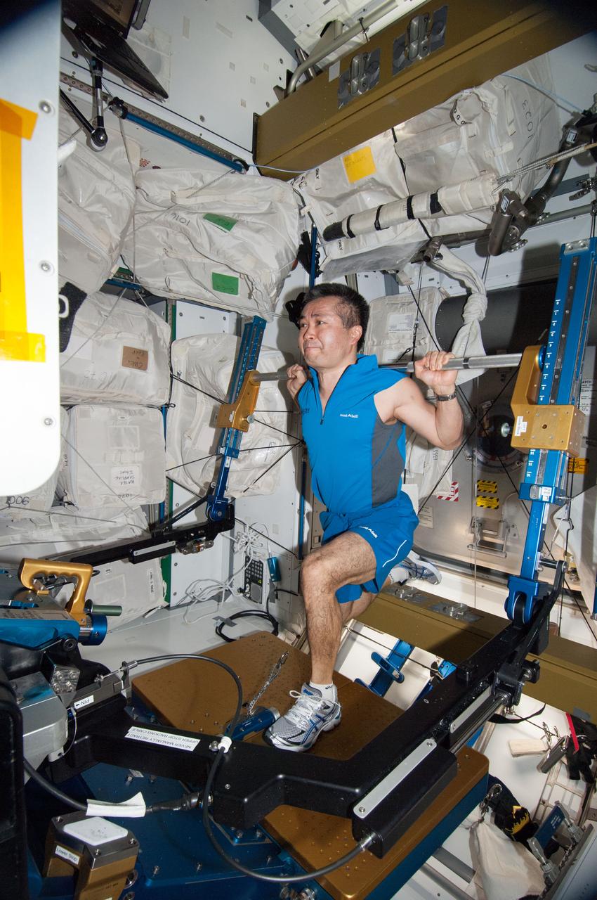 ISS038-E-041406 (2 Feb. 2014) --- Japan Aerospace Exploration Agency astronaut Koichi Wakata, Expedition 38 flight engineer, gets a workout on the advanced Resistive Exercise Device (aRED) in the Tranquility node of the International Space Station.