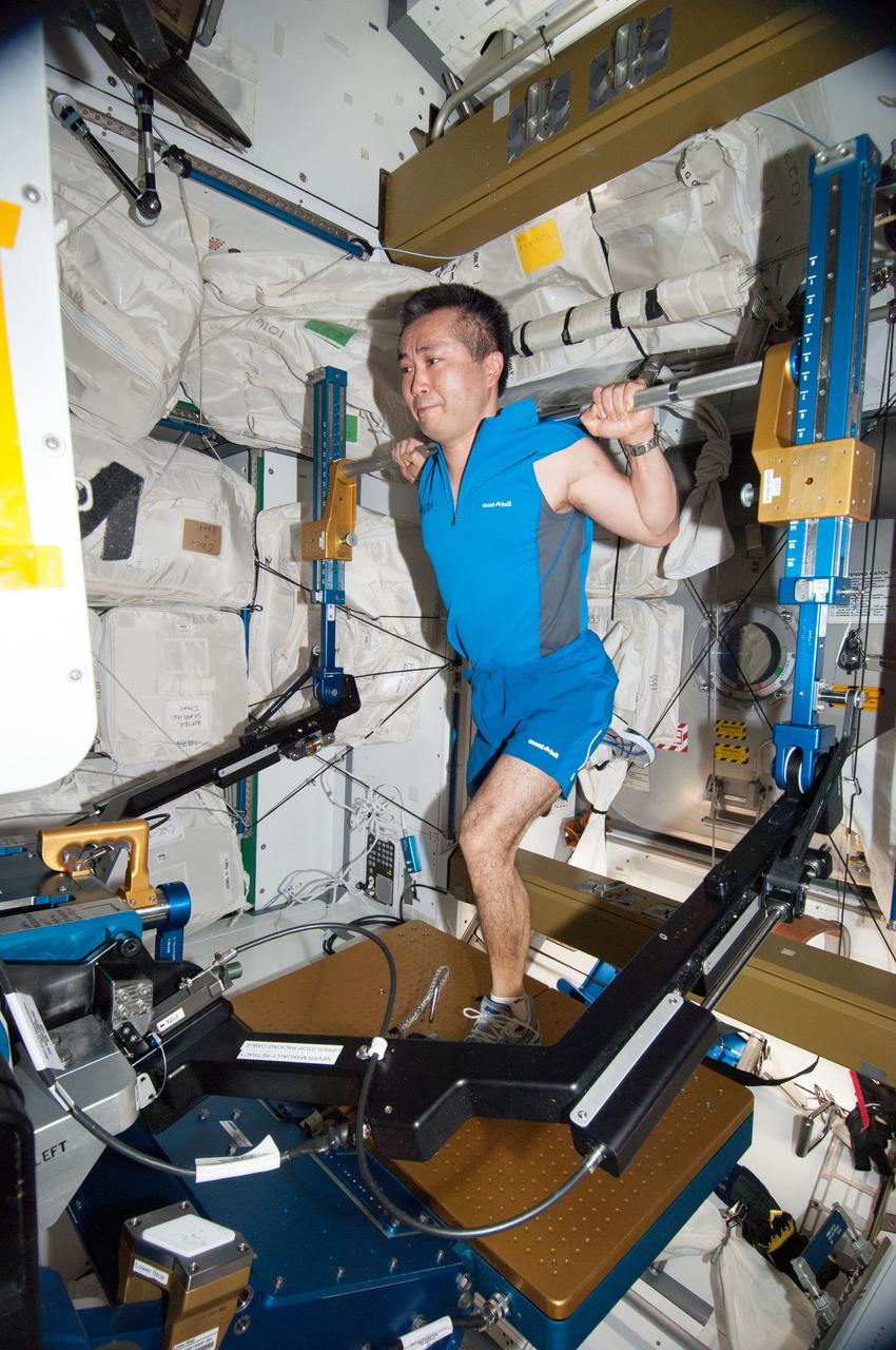 ISS038-E-041409 (2 Feb. 2014) --- Japan Aerospace Exploration Agency astronaut Koichi Wakata, Expedition 38 flight engineer, gets a workout on the advanced Resistive Exercise Device (aRED) in the Tranquility node of the International Space Station.