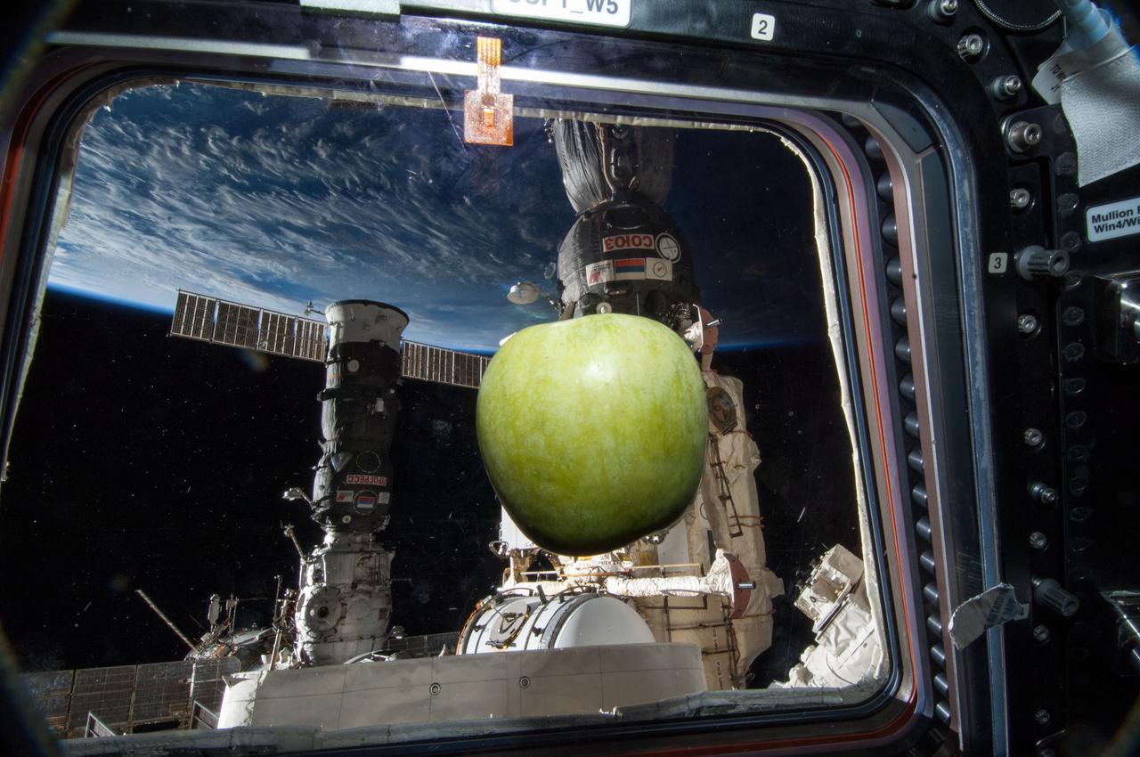 ISS038-E-042112 (6 Feb. 2014) --- A fresh apple floating freely near a window in the Cupola of the International Space Station is featured in this image photographed by an Expedition 38 crew member. Currently docked to the station, a Russian Progress resupply vehicle (left) and a Soyuz spacecraft along with Earth's horizon are visible in the background.