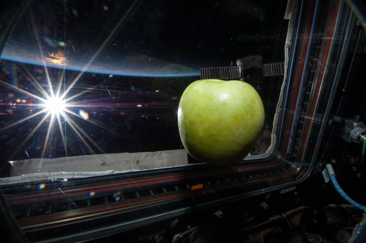 ISS038-E-042121 (6 Feb. 2014) --- A fresh apple floating freely near a window in the Cupola of the International Space Station is featured in this image photographed by an Expedition 38 crew member. The bright sun and Earth's horizon provide the backdrop for the scene.