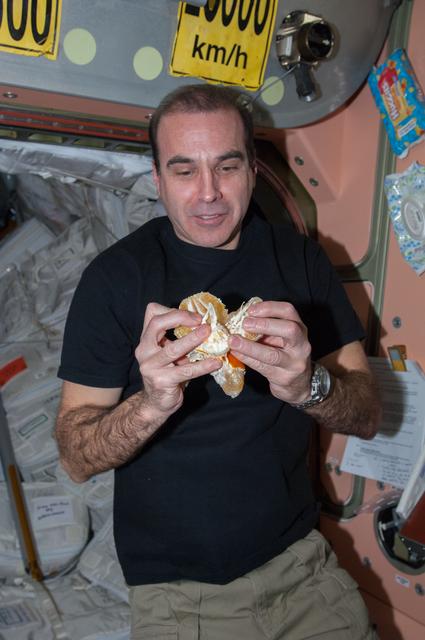 NASA image: Mastracchio holds fruit in the Node 1
