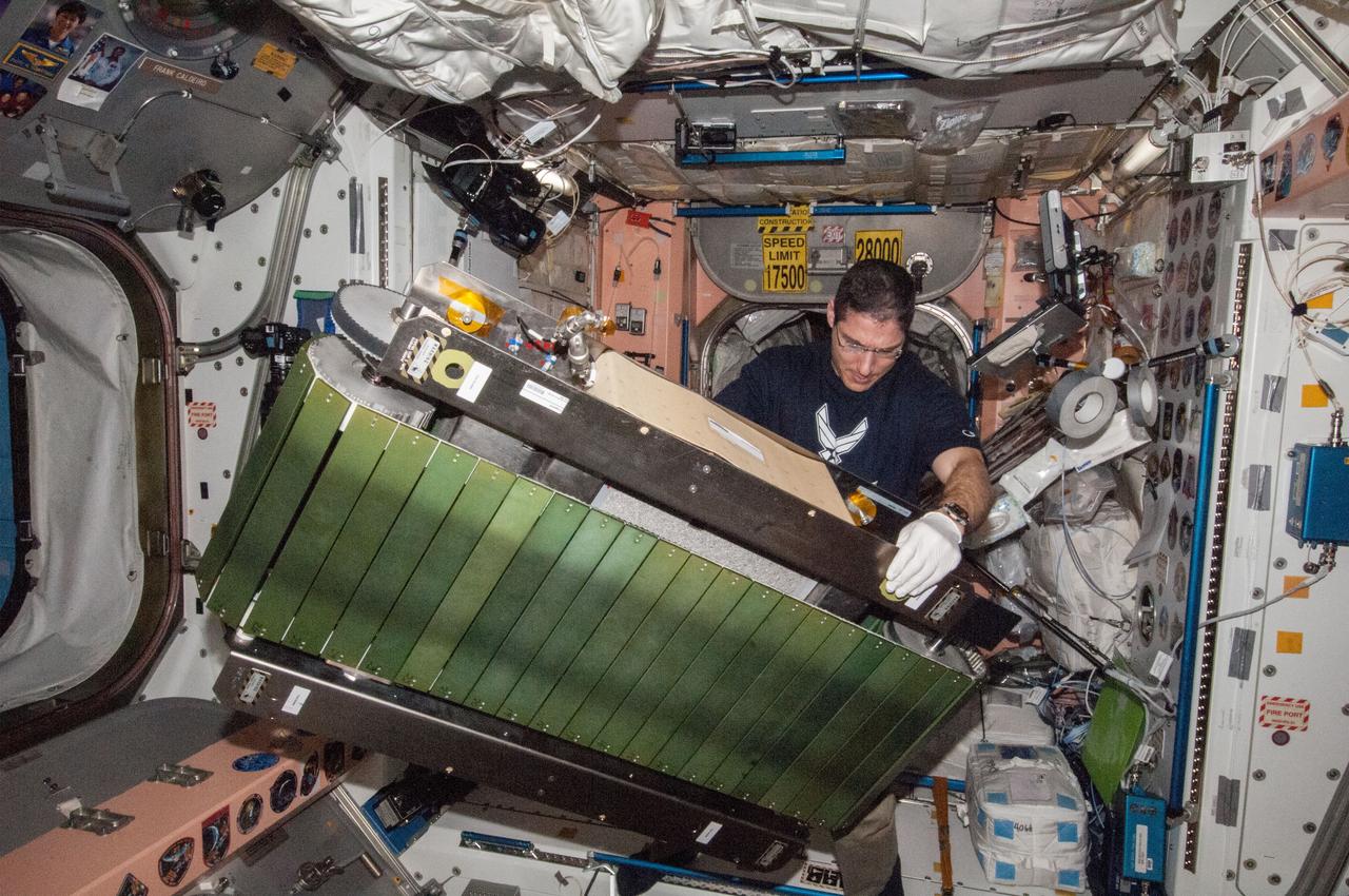 ISS038-E-046404 (12 Feb. 2014) --- NASA astronaut Mike Hopkins, Expedition 38 flight engineer, works on the COLBERT treadmill in the Unity node of the International Space Station. He replaced a failed accelerometer in the exercise device then activated COLBERT for a speed test.