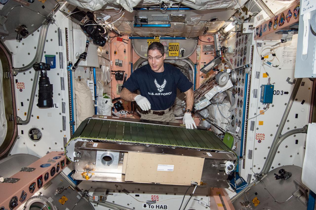 ISS038-E-046405 (12 Feb. 2014) --- NASA astronaut Mike Hopkins, Expedition 38 flight engineer, works on the COLBERT treadmill in the Unity node of the International Space Station. He replaced a failed accelerometer in the exercise device then activated COLBERT for a speed test.