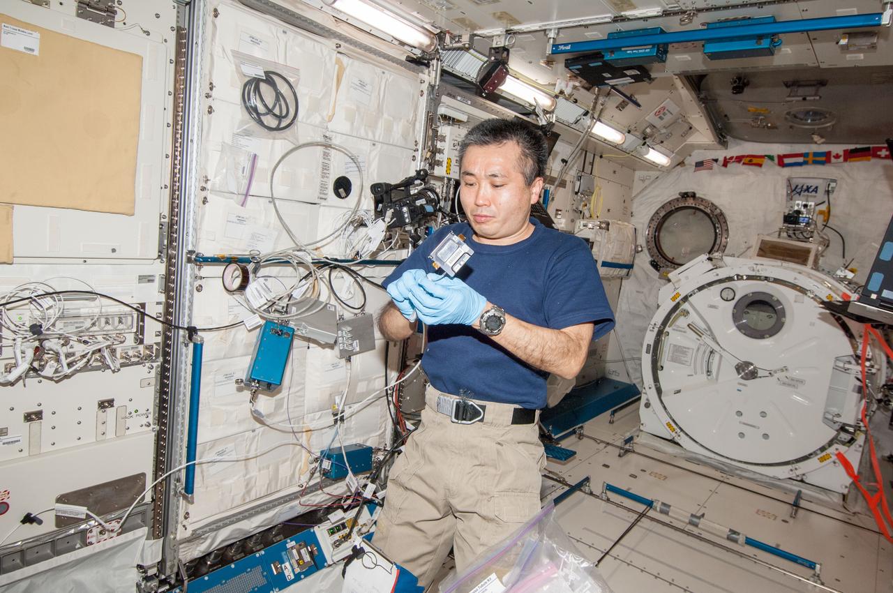 ISS038-E-053720 (20 Feb. 2014) --- Japan Aerospace Exploration Agency astronaut Koichi Wakata, Expedition 38 flight engineer, works in the Kibo laboratory of the International Space Station.