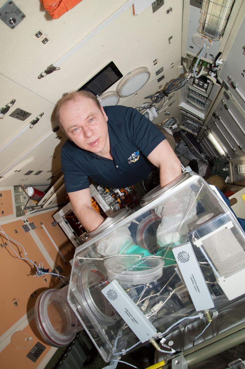 ISS038-E-066110 (7 Feb. 2014) --- In the Rassvet Mini-Research Module 1 (MRM1) of the Earth-orbiting International Space Station, Expedition 38 Commander Oleg Kotov of Russia's Federal Space Agency (Roscosmos) works with the bioscience experiment ASEPTIC in the Russian Glavboks (Glovebox).