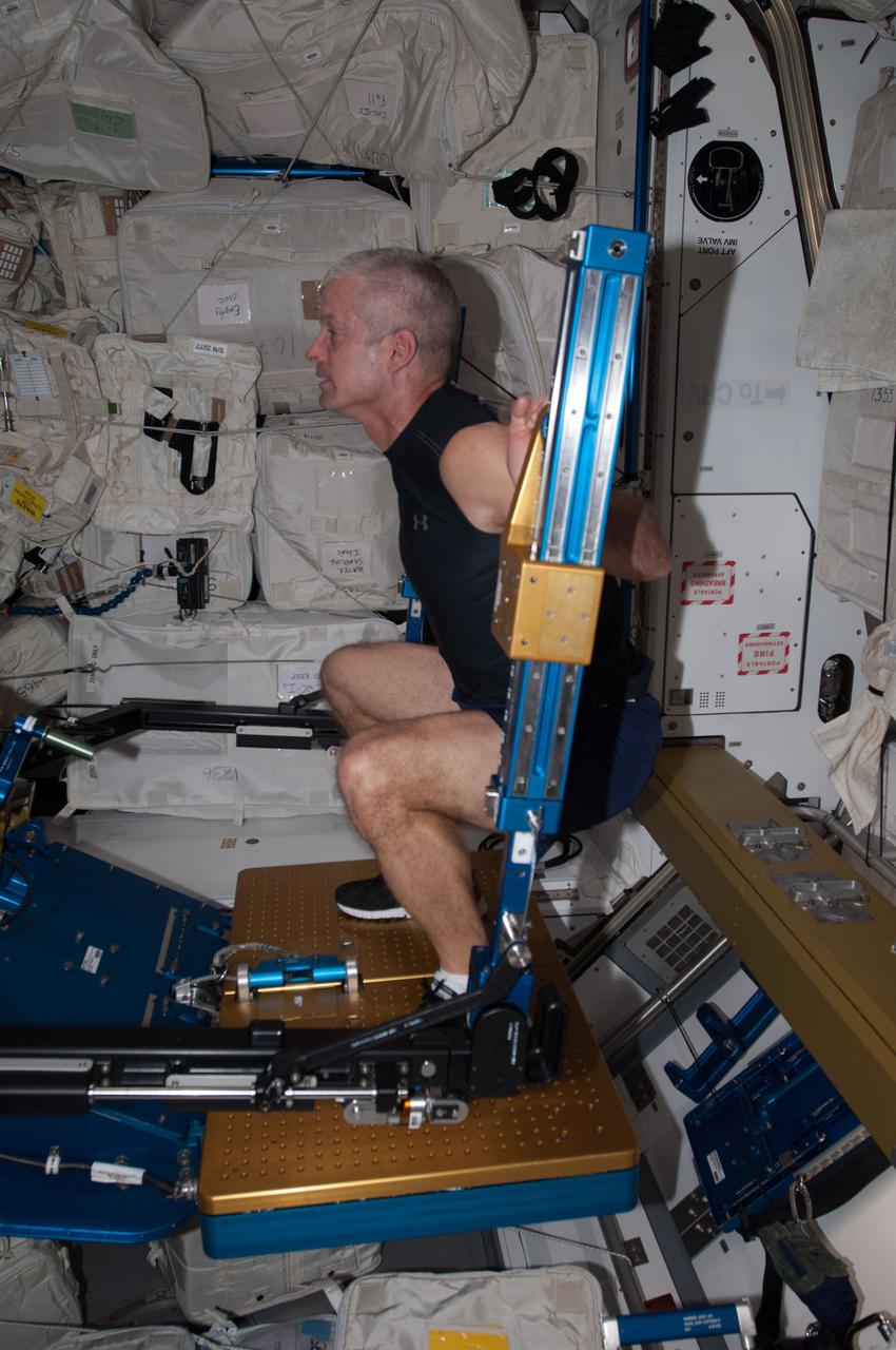 ISS039-E-011261 (11 April 2014) --- NASA astronaut Steve Swanson, Expedition 39 flight engineer, works out on the Advanced Resistive Exercise Device (ARED) aboard the Earth-orbiting International Space Station on April 11, 2014.