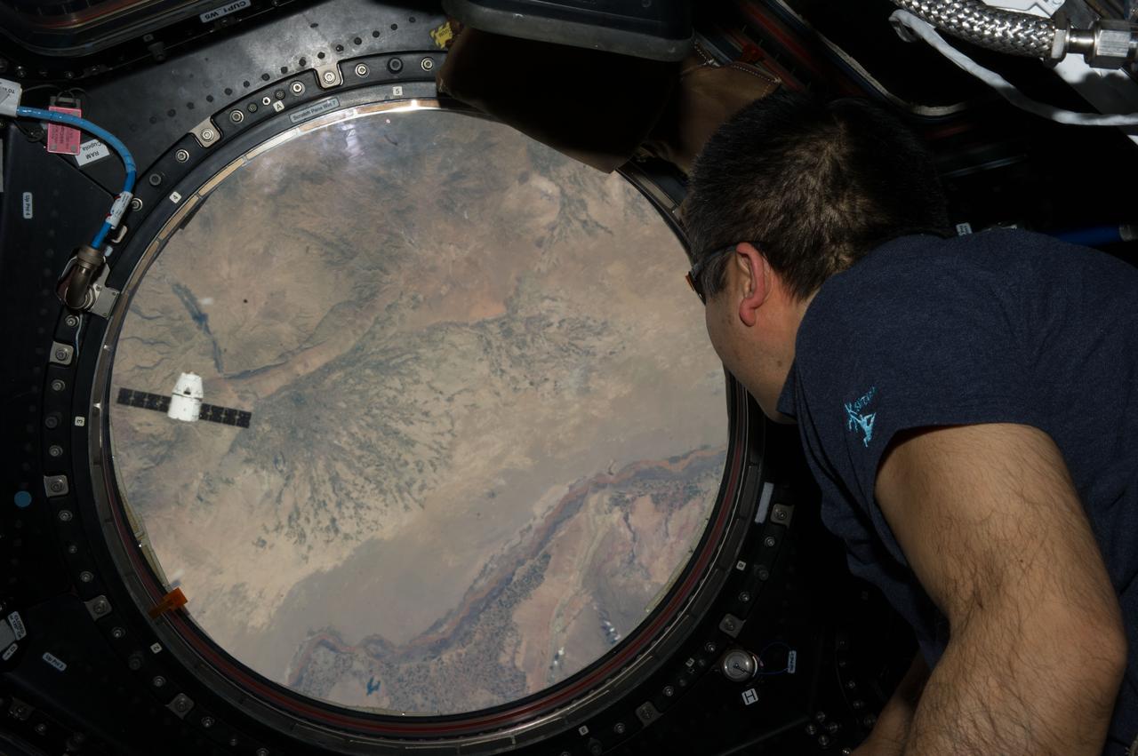 ISS039-E-013576 (20 April 2014) --- Expedition 39 Commander Koichi Wakata of the Japan Aerospace Exploration Agency watches the April 20 approach of the SpaceX Dragon to the International Space Station, as photographed by one of the Expedition 39 crew members onboard the orbital outpost.