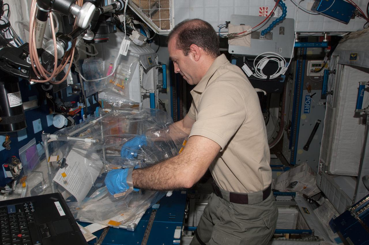 ISS039-E-015646 (25 April 2014) --- In the Harmony node of the Earth-orbiting International Space Station, NASA astronaut Rick Mastracchio, Expedition 39 flight engineer, works with the Micro-7 BioCell habitat.