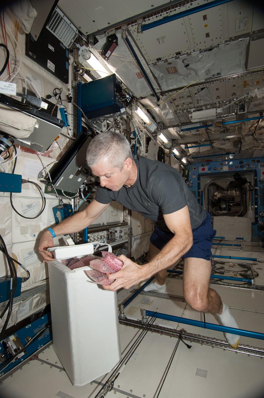 ISS039-E-017566 (30 April 2014) --- NASA astronaut Steve Swanson, Expedition 39 flight engineer, works with NanoRacks hardware in the Kibo laboratory of the Japan Aerospace Exploration Agency (JAXA). He is about to insert BioRack experiment containers and experiment controllers into the BioRack frame.