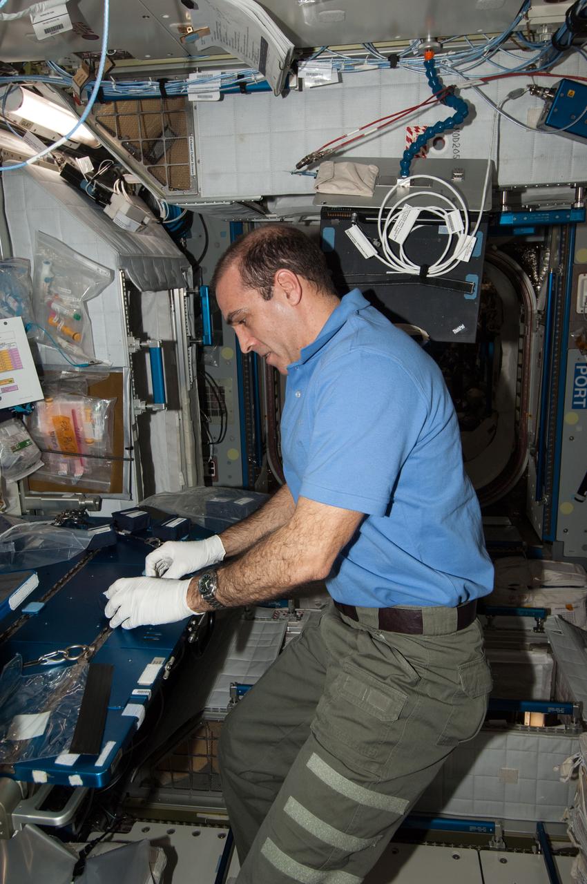 ISS039-E-018462 (5 May 2014) --? In the Harmony node of the Earth-orbiting International Space Station, NASA astronaut Rick Mastracchio, Expedition 39 flight engineer, prepares  culture chambers for an experiment.