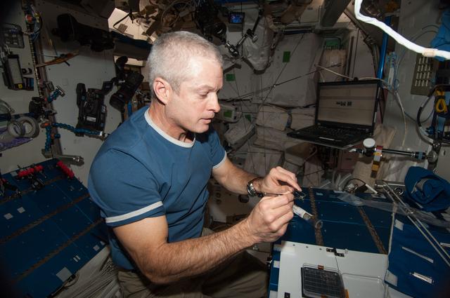 NASA image: Swanson conducts CARA-Petri Plant Harvest